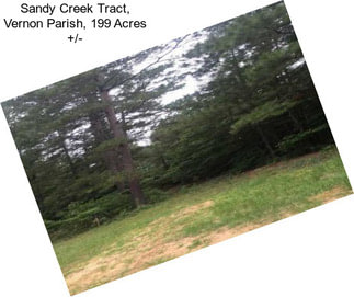 Sandy Creek Tract, Vernon Parish, 199 Acres +/-