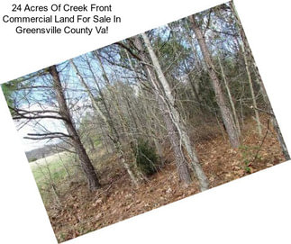 24 Acres Of Creek Front Commercial Land For Sale In Greensville County Va!