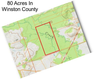 80 Acres In Winston County