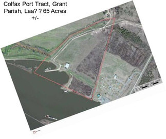 Colfax Port Tract, Grant Parish, Laa65 Acres +/-