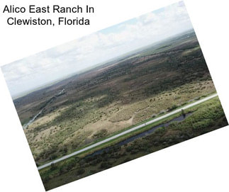 Alico East Ranch In Clewiston, Florida