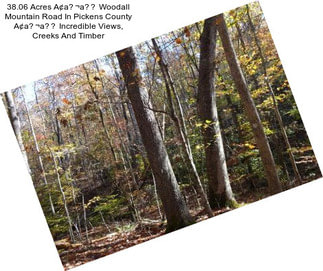 38.06 Acres A¢a¬a Woodall Mountain Road In Pickens County A¢a¬a Incredible Views, Creeks And Timber