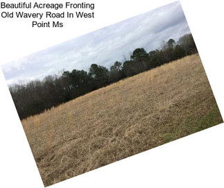 Beautiful Acreage Fronting Old Wavery Road In West Point Ms