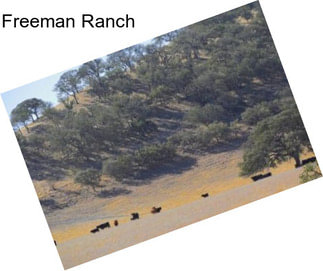 Freeman Ranch