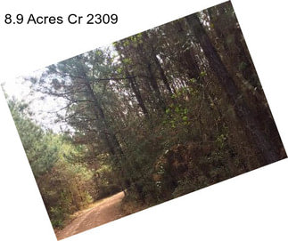 8.9 Acres Cr 2309