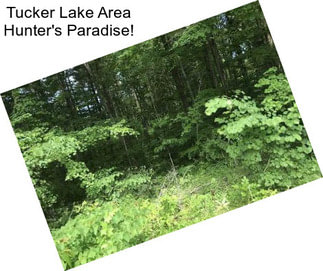 Tucker Lake Area Hunter\'s Paradise!