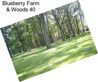 Blueberry Farm & Woods 40