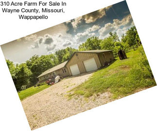 310 Acre Farm For Sale In Wayne County, Missouri, Wappapello