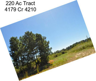 220 Ac Tract 4179 Cr 4210