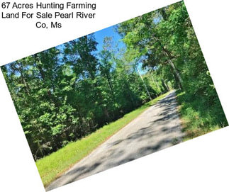 67 Acres Hunting Farming Land For Sale Pearl River Co, Ms