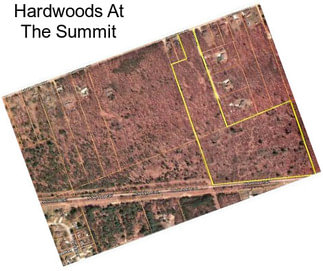 Hardwoods At The Summit