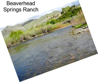 Beaverhead Springs Ranch
