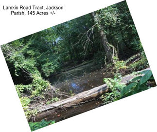 Lamkin Road Tract, Jackson Parish, 145 Acres +/-