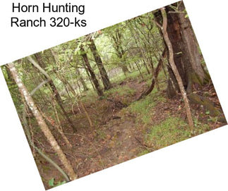 Horn Hunting Ranch 320-ks