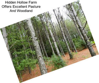 Hidden Hollow Farm Offers Excellent Pasture And Woodland