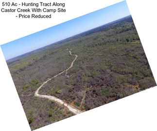 510 Ac - Hunting Tract Along Castor Creek With Camp Site - Price Reduced