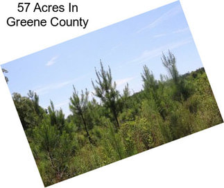 57 Acres In Greene County