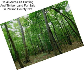 11.46 Acres Of Hunting And Timber Land For Sale In Person County Nc!