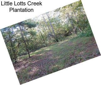 Little Lotts Creek Plantation