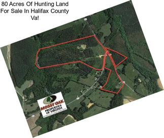 80 Acres Of Hunting Land For Sale In Halifax County Va!