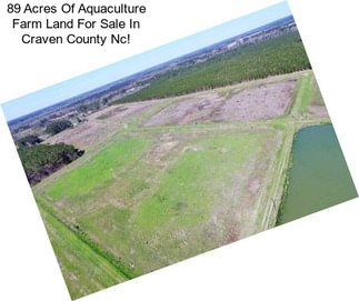 89 Acres Of Aquaculture Farm Land For Sale In Craven County Nc!