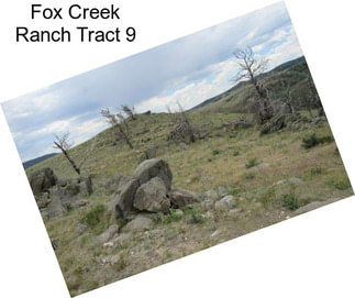 Fox Creek Ranch Tract 9