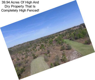 39.94 Acres Of High And Dry Property That Is Completely High Fenced!