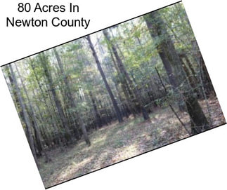 80 Acres In Newton County