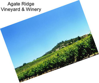 Agate Ridge Vineyard & Winery