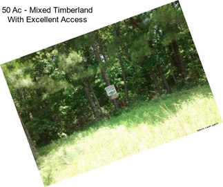 50 Ac - Mixed Timberland With Excellent Access