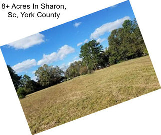 8+ Acres In Sharon, Sc, York County