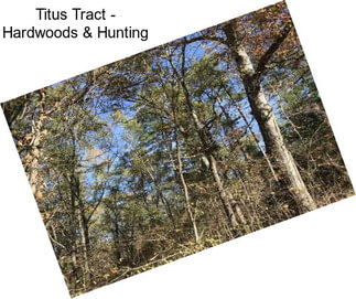 Titus Tract - Hardwoods & Hunting