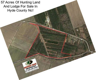 57 Acres Of Hunting Land And Lodge For Sale In Hyde County Nc!