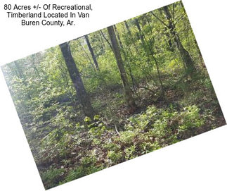 80 Acres +/- Of Recreational, Timberland Located In Van Buren County, Ar.