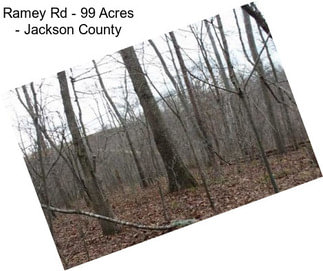 Ramey Rd - 99 Acres - Jackson County