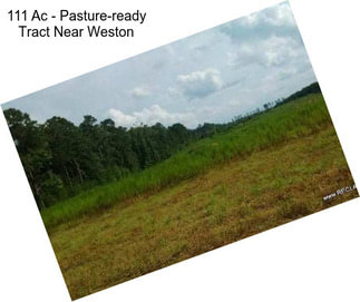 111 Ac - Pasture-ready Tract Near Weston