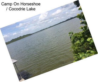 Camp On Horseshoe / Cocodrie Lake