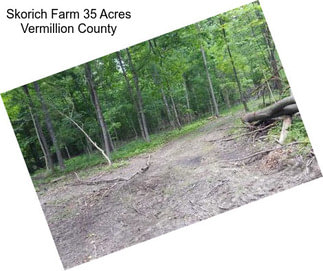 Skorich Farm 35 Acres Vermillion County