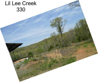 Lil Lee Creek 330