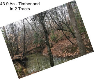43.9 Ac - Timberland In 2 Tracts