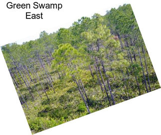 Green Swamp East