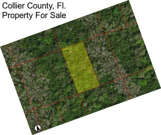 Collier County, Fl. Property For Sale