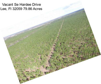 Vacant Se Hardee Drive Lee, Fl 32059 79.86 Acres