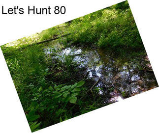 Let\'s Hunt 80