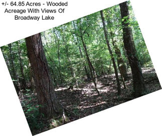 +/- 64.85 Acres - Wooded Acreage With Views Of Broadway Lake