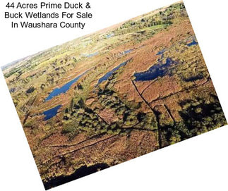 44 Acres Prime Duck & Buck Wetlands For Sale In Waushara County