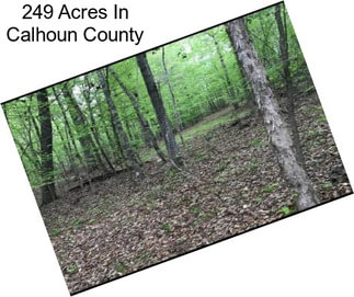 249 Acres In Calhoun County