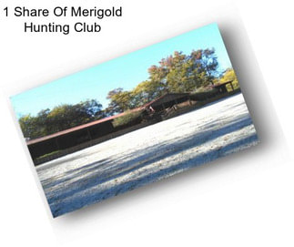 1 Share Of Merigold Hunting Club