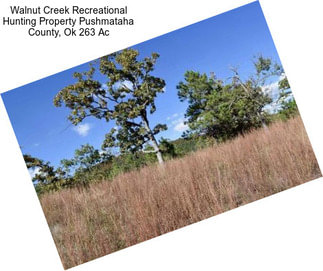 Walnut Creek Recreational Hunting Property Pushmataha County, Ok 263 Ac