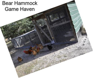 Bear Hammock Game Haven
